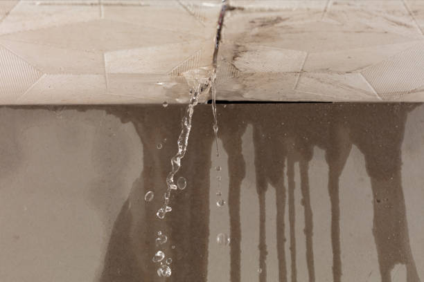 Professional Water Damage Repair technician working in Evant, TX